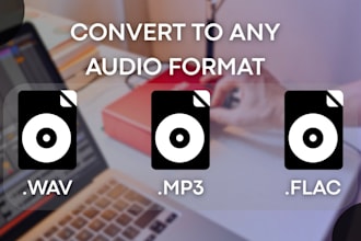 convert any audio file to any audio format you need