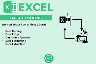 fix messy excel data, clean and format professionally