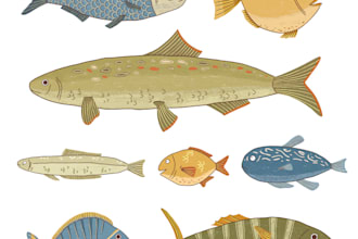 draw cute educational illustrations