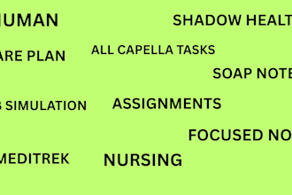 do ihuman, shadowhealth, soap notes, meditrek logs, careplans, capella tasks