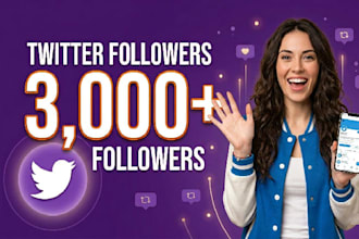 3000 twitter followers as your need