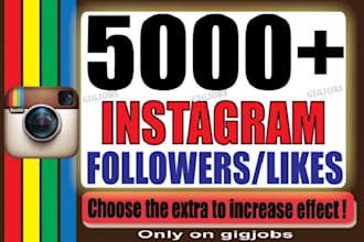 get 5000 organic instagram followers