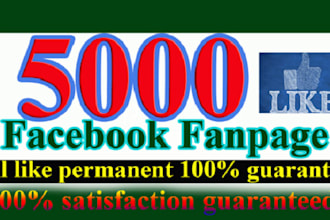 add 5000 permanent likes on your facebook fan page
