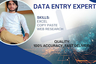 do professional PDF to excel and word data entry