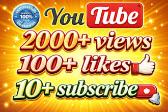 add 2000 organic youtube video views