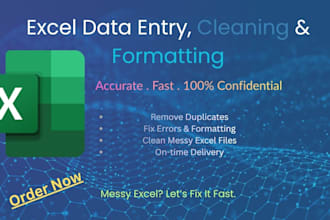 clean, format and organize excel data