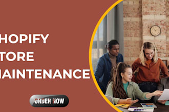 provide professional shopify maintenance and support