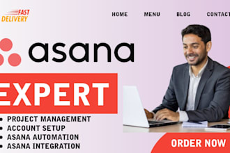 setup asana, asana workflow, project management, asana automation, consultation
