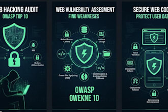 test your website for owasp top 10 security vulnerabilities