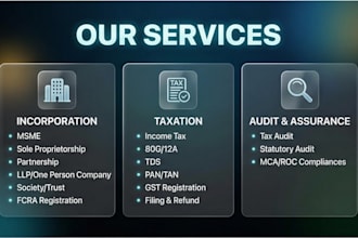 provide professional ca services for your business