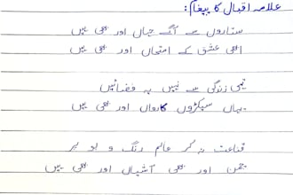 handwrite your urdu text, applications, letters, and notes