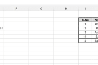 clean, format and organize excel data professionally