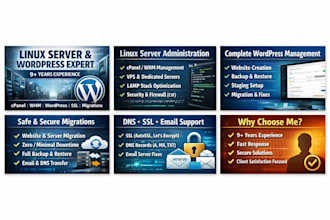 do wordpress website management, adding domain name to web host, setting dns etc