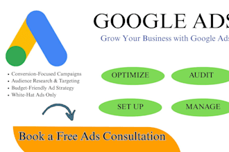 google ads adwords PPC campaign and manage it