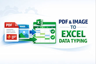 do fast and accurate data entry and convert PDF or image to excel