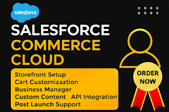 do salesforce commerce cloud sfcc  b2c website development store