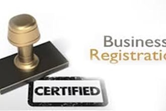provide support in company laws and business registration