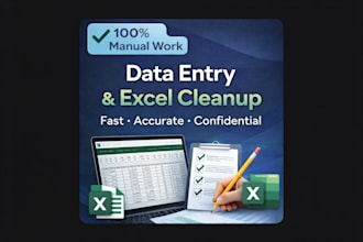 do accurate data entry and excel cleanup