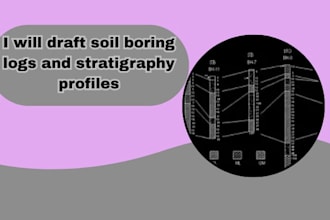 draft soil boring logs and stratigraphy profiles