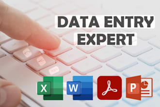 do data entry in excel  word PDF to excel word conversion