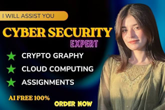 do cyber security assignment,penetration testing, cryptography and IT project