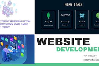 be your webdeveloper for a professional business website