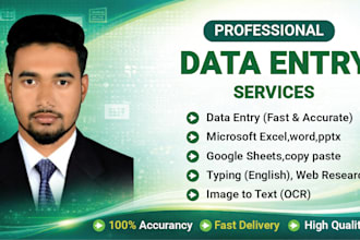 handle your data entry professionally