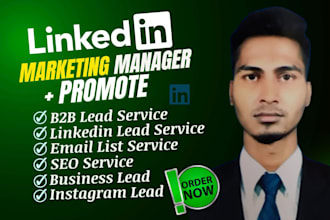 be manage market promotions and b2b sales on linkedin
