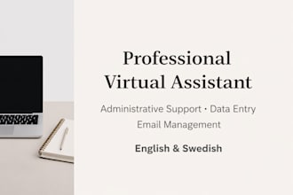 provide professional virtual assistant services