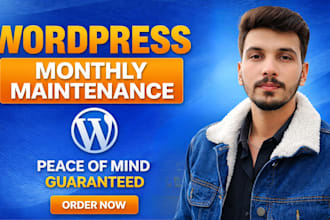 provide monthly wordpress website maintenance and lifetime guidance support