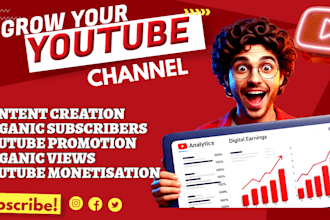 get you real organic USA views and youtube channel growth