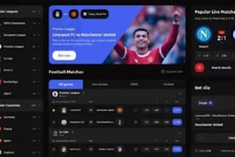 develop arcade game website, crash game website, crypto gaming web, aviator bot