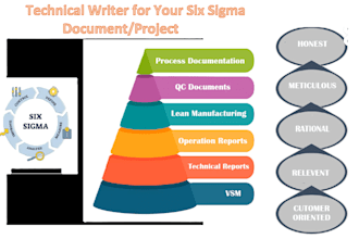 write and document your six sigma project