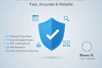 do professional data entry and excel copy paste work