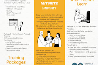 help you become a netsuite expert with personalized training