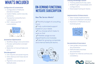 deliver on demand netsuite support for your business