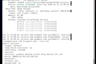 host and deploy your website on linux vps or cloud server