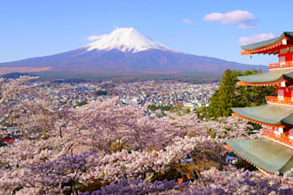 offer comprehensive support for all japanese language related tasks