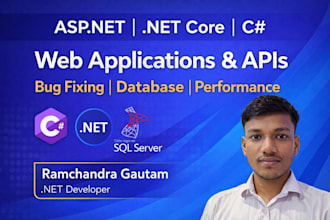 develop or fix aspnet dot net core web applications and apis
