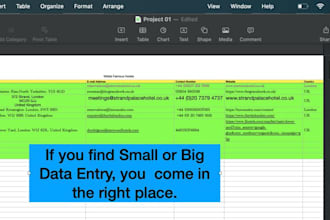 do big data entry, data input and data typing