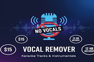 remove vocals from any song and make instrumental 24 hr