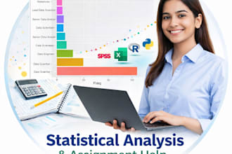 do statistical projects and analysis