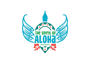 design modern hawaiian skies flying ride logo