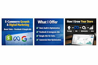 build a complete shopify dropshipping store for new sellers