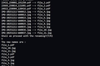 safely bulk rename and organise files using python