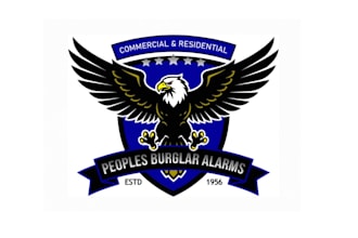 create attractive and imagination eagle logo design