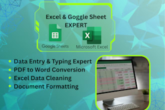 provide fast and professional data entry services