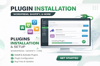 install and configure wordpress plugins professionally