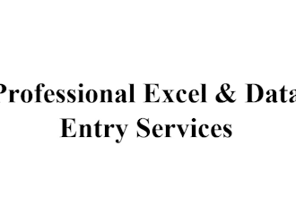 professional data entry and excel work accurately