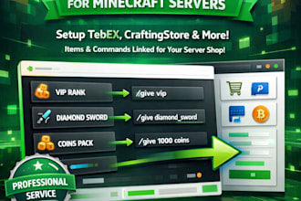 professionally set up your minecraft server webstore